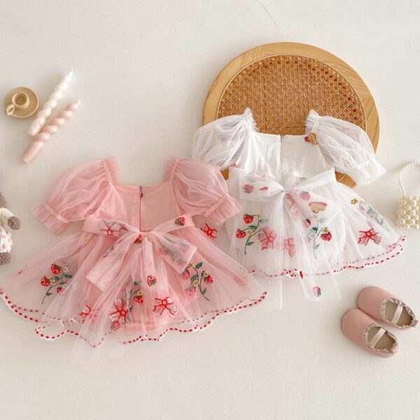Baby Girl Embroidered Bow Mesh Princess Dress - Image 4